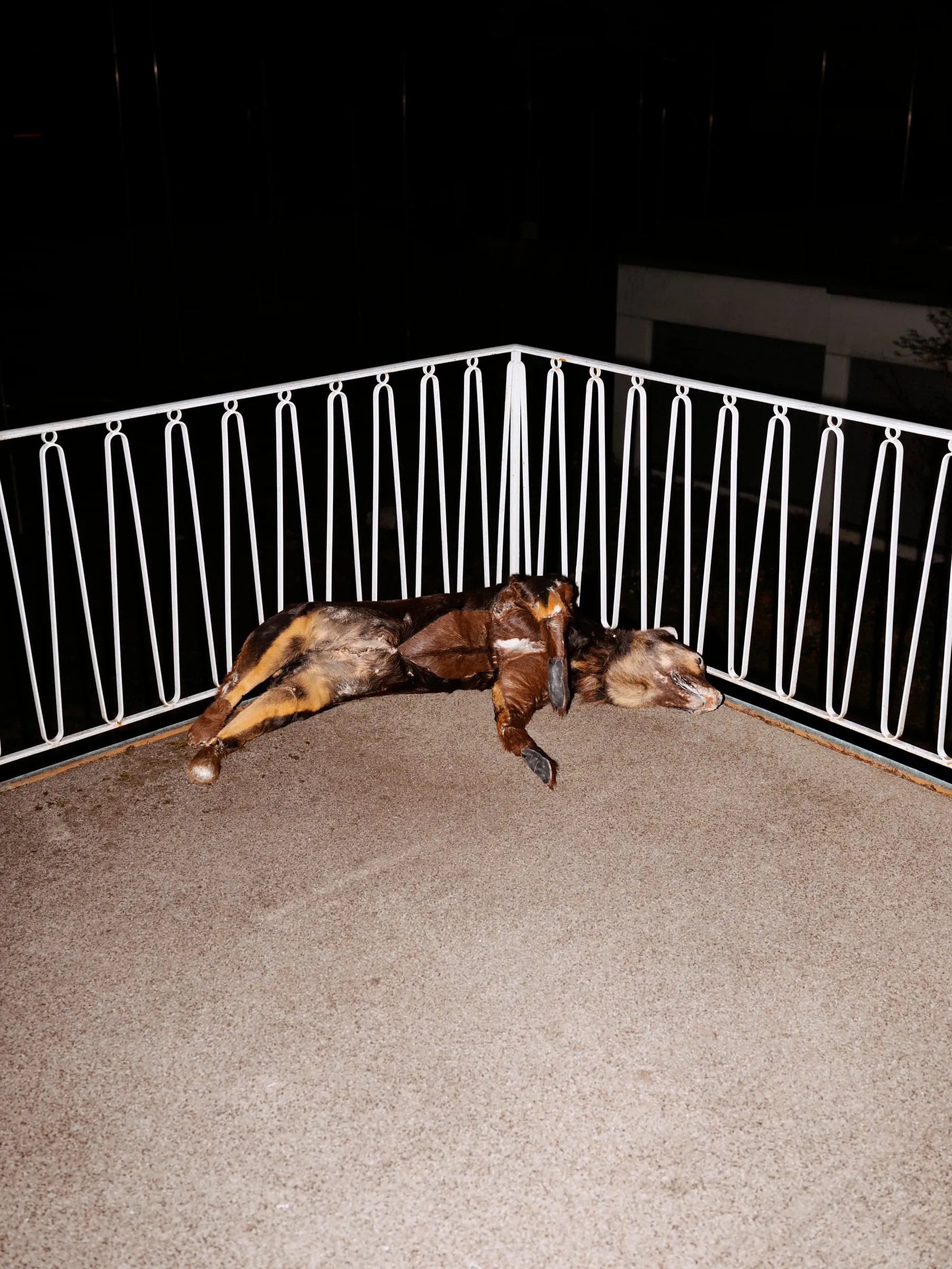 Szenenfoto aus Haunted Mansion